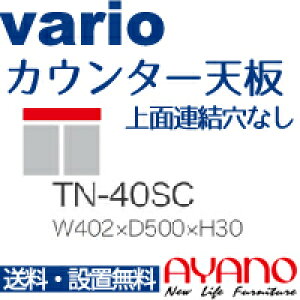 y֓z쐻쏊 / jbgHI vario oI / JE^[V [ ʘAȂ / TN-40SCysz