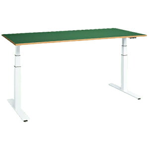 yUݑzTJG SAKAE / d~ƑiTJG[Vj@DLK|156FWyΏۊOzyzԎwszyTJG̑^i͎ԏnłzlzs