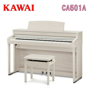 JC CA501A fW^sAm dqsAm GLsAm KAWAI ͍y퐻쏊 yݒutzyp֎qEwbhztz
