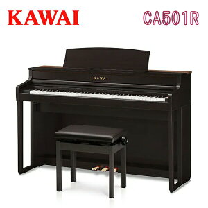 JC CA501R fW^sAm [YEbh dqsAm GLsAm KAWAI ͍y퐻쏊 yݒutzyp֎qEwbhztz