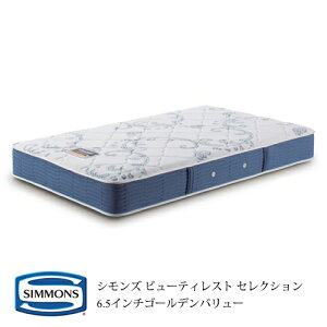 VY }bgX AB2111A Z~_uTCY 6.5C`S[fo[ r[eBXgZNVysz