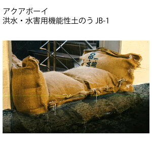 ANA{[C JB-1 10 ^EQp@\ŷ z h EQh~ yX AQUA-BOY zobOyz