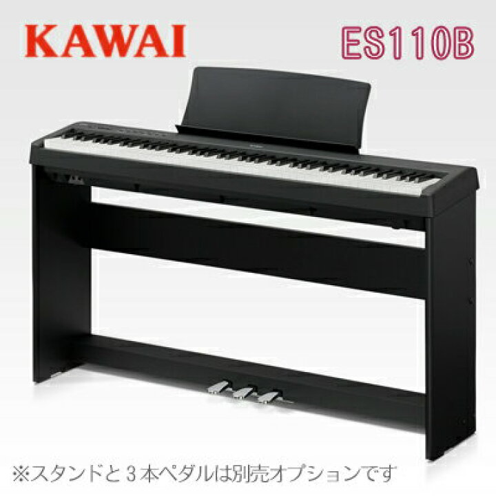 楽天市場】【次回入荷未定】【数量限定！先着で素敵なプレゼントおつけ 