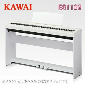 yזzyʌI撅őfGȃv[g܂zKAWAI ͍y퐻쏊 JC / fW^sAm dqsAm GLsAm / ES110W y_p[y_tzyX^hE
