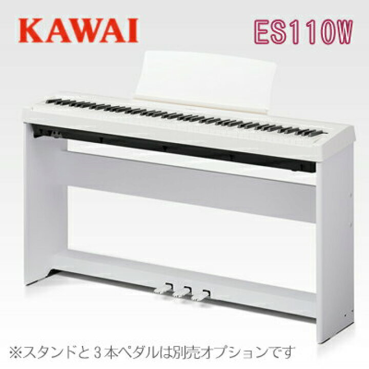 楽天市場】【次回入荷未定】【数量限定！先着で素敵なプレゼントおつけ