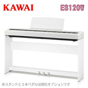 yʌI撅őfGȃv[g܂zKAWAI ͍y퐻쏊 JC / fW^sAm dqsAm GLsAm / ES120Filo ES120W y_p[y_tzyX^hE3{y_