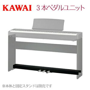 KAWAI ͍y퐻쏊 JC / dqsAm fW^sAmpy_(_p[in[ty_ΉjE\tgE\Xek[g) / ES120p3{y_jbg F-351B(ubNp) F-351LG(CgO[p