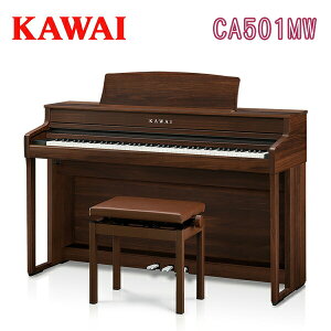 y24N1014VzJC CA501MW fW^sAm JEHibg dqsAm GLsAm KAWAI ͍y퐻쏊 yݒutzyp֎qEwbhztz