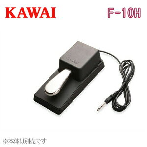 KAWAI ͍y퐻쏊 JC / dqsAm fW^sAmpy_ tbgy_ _p[y_ n[ty_Ή y_ ES60i / F-10Hyz