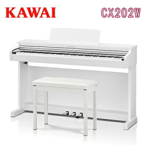 25N918Vyݒutzyp֎qEwbhztzy撅Ŗ𗧂V[Nbgv[gtzKAWAI ͍y퐻쏊 JC / fW^sAm dqsAm GLsAm / CX202W T