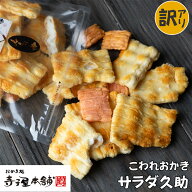 【訳あり】 寺子屋本舗 割れせんべい サラダ久助 230g入り