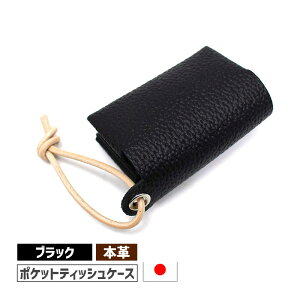 [3/15���� ���I�ōő�100%�|�C���g�o�b�N] �|�P�b�g�e�B�b�V���P�[�X DG-16 �{�v ���{�� �u���b�N/����V���o�[ luminio ���~�j�[�I ODMDG16-BK-SV