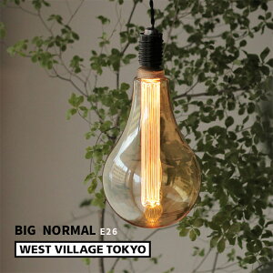 [11/10 Iōő100%|CgobN(vGg[)] GW\ouLED mX^WA Ή E26 rbOm[}S[h NORMAL 200lm d Cg v Ɩ EGXgrbWg[L