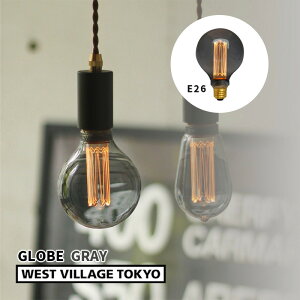 [11/10 Iōő100%|CgobN(vGg[)] GW\ouLED mX^WA Ή E26 O[uO[ GLOBE 100lm d Cg v Ɩ EGXgrbWg[L[ DD-E26GGY