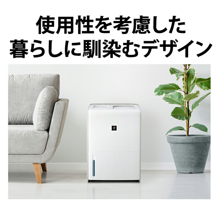 楽天市場】[11/1限定 店内最大P5倍&最大2000円OFFクーポン 11/6 9:59 