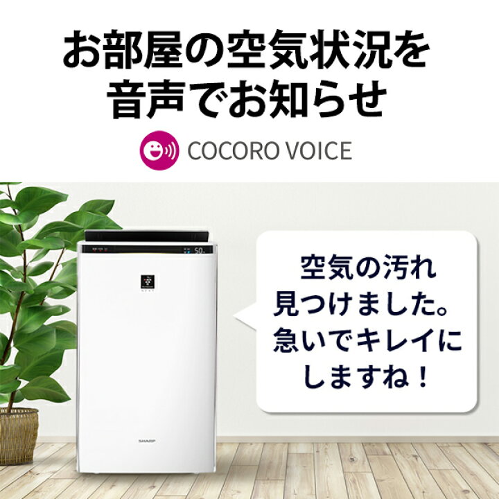 楽天市場】[6/1限定 店内最大P5倍&最大2000円OFFクーポン 6/6 9:59まで  