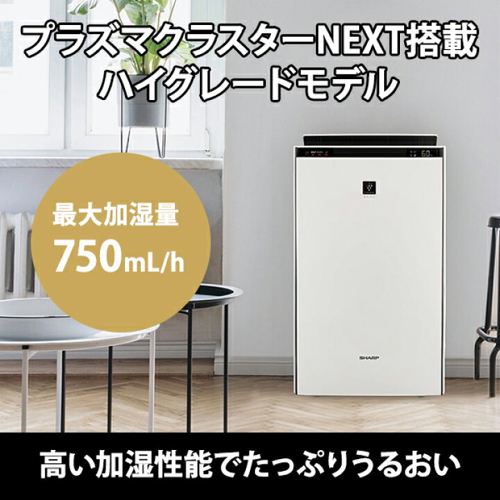 楽天市場】[2/20限定 抽選で最大100%ポイントバック(要エントリー  