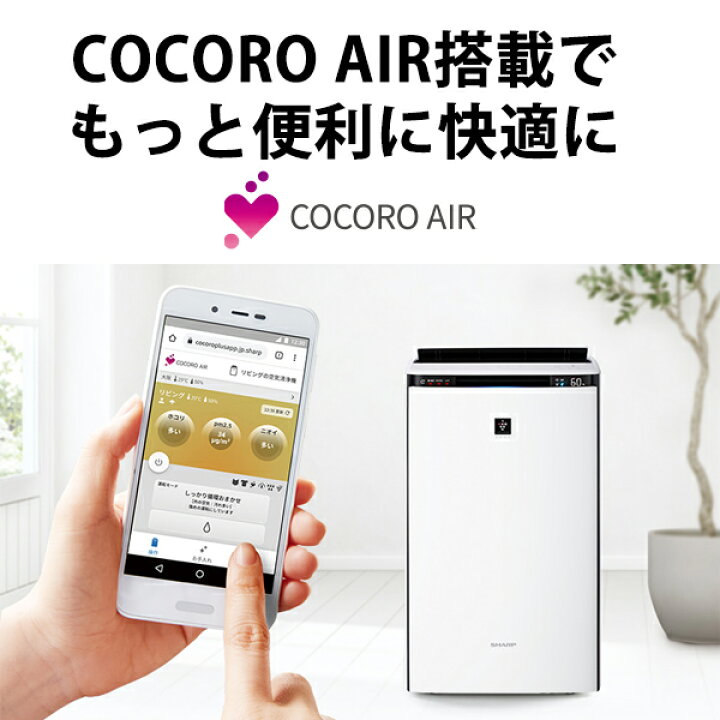 楽天市場】[2/20限定 抽選で最大100%ポイントバック(要エントリー 