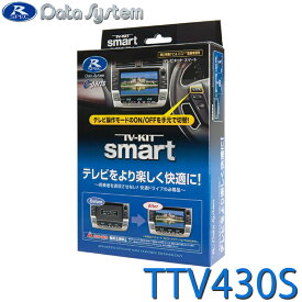 TV-KIT テレビキット スマートタイプ DataSystem データシステム TTV430S