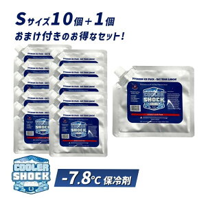 [12/10 Iōő100|CgobN] COOLER SHOCK STCY 10PZbg vX1P܂ N[[VbN ۗ ۗ \tg COOLER SHOCK N[[VbN COOLERSHOCK-S11