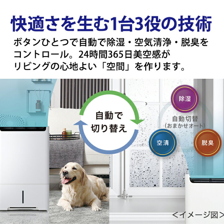 楽天市場】[1/10限定 抽選で最大100%ポイントバック(要エントリー 