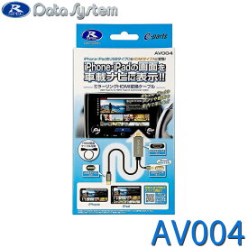 ミラーリングHDMI変換ケーブル DataSystem データシステム AV004