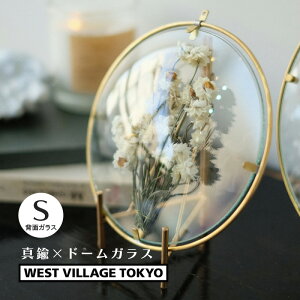[5/1���� �ő�100%�|�C���g�o�b�N] PIKE Glass Dome Frame CLEAR S ���E���h�t���[�� �N���A�^�C�v ���{�� �^�J �C���e���A �E�G�X�g�r���b�W�g�[�L���[ 4589824364940