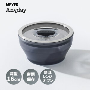 [8/1�̓|�C���g�ő�8�{ �v�G���g���[�������N���A] Anyday �[�^�f�B�b�V�� 16cm �u���b�N �ϔM�K���X �d�q�����W�� �W�t�� �ۑ��e�� �I�[�u�� ������� MEYER �}�C���[ ANY-DD16BK