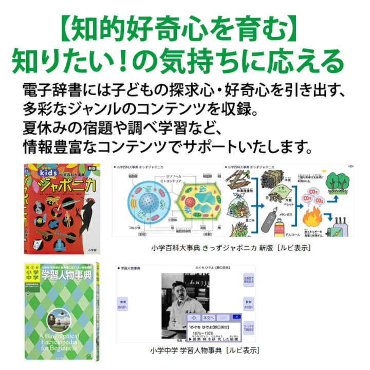 楽天市場】[3/1限定 店内最大P5倍&最大2000円OFFクーポン 3/6 9:59まで 