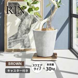CeA  RIN XNGA uE YAMAZAKI R 10064-5R2