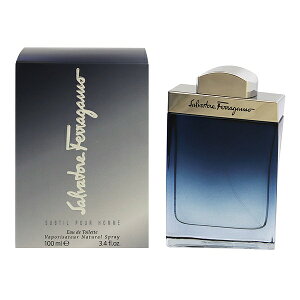  Y tFK TueB[ v[I EDTESP 100ml (E)  tOX v[g 蕨 Mtg FERRAGAMO SUBTIL POUR HOMME SALVATORE FERRAGAMO