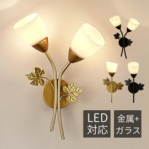 �u���P�b�g���C�g ������� LED�Ή� �k�� �K���X �Ԍ^ ���_�� �I�V���� �Ǌ|���Ɩ� �a�� 1/2�� �E�H�[�������v ���ʏ� �K�i ���� �Q�� ���[�����C�g �Ǖt�� �ԐڏƖ� �m�� �a�� �L�� �g�C�� ��