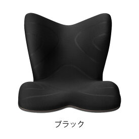 【メーカー正規販売店】 スタイルプレミアム Style PREMIUM MTG正規販売店 骨盤 クッション 姿勢サポートシート 座椅子 猫背 姿勢矯正 BSPR2004F YS-AL03A YS-AL18A