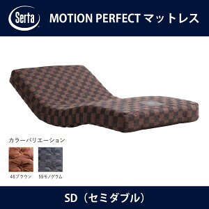 T[^ Serta MOTION PERFECT }bgX SDiZ~_ujTCY h[xbhyzysz