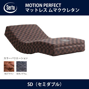 T[^ Serta MOTION PERFECT }bgX }NE^ SDiZ~_ujTCY h[xbhyzysz