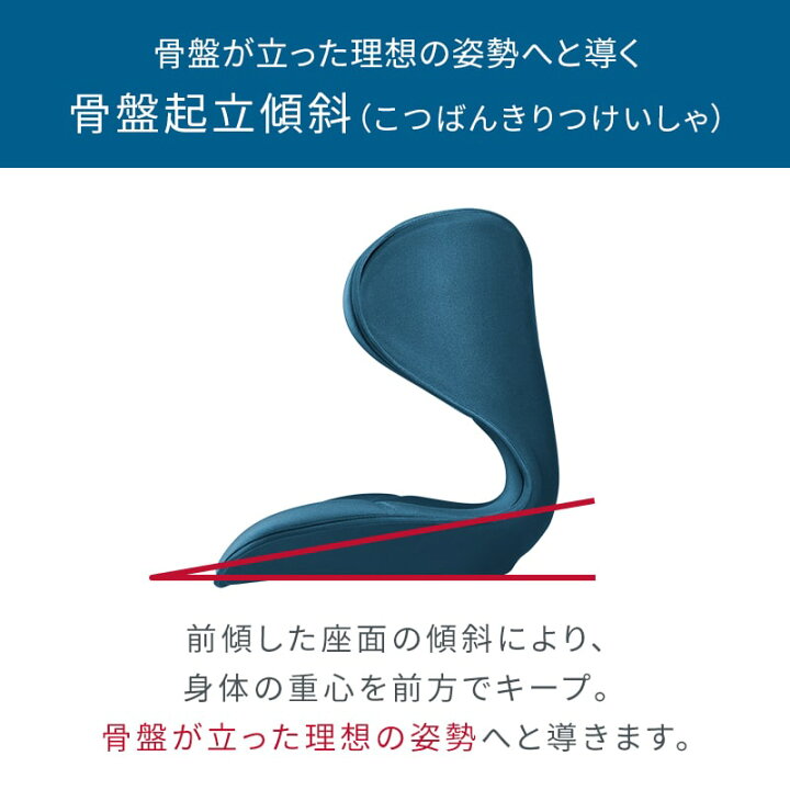 楽天市場】【メーカー正規販売店】 Style SMART スタイルスマート 