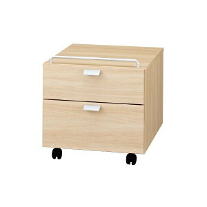 �o���o�[�j DD-F221 ���[�N�X�^�W�I ���[�e�B���e�B���S�� 414×486×420(mm) �y���������z