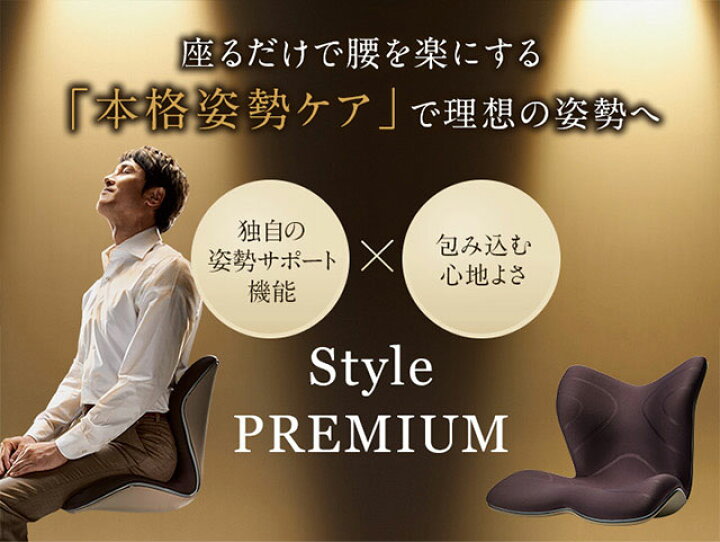 楽天市場】【メーカー正規販売店】 スタイルプレミアム デラックス  