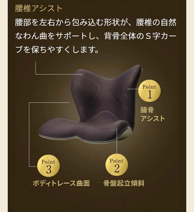 楽天市場】【メーカー正規販売店】 スタイルプレミアム デラックス  