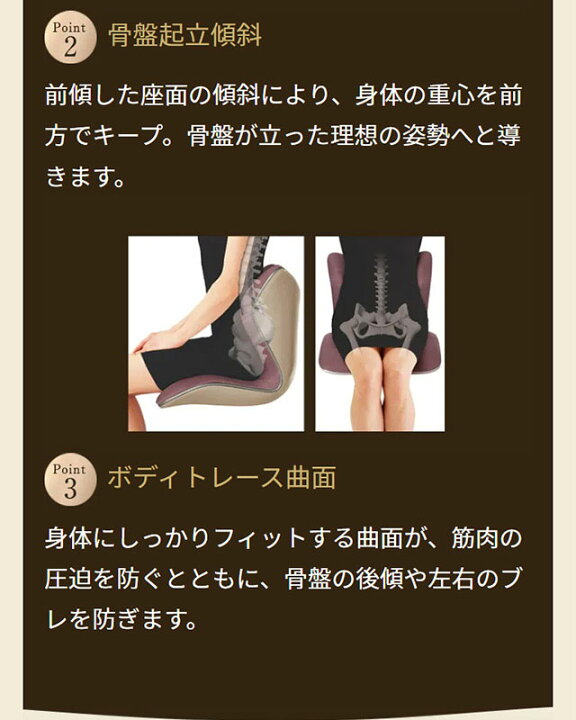 楽天市場】【メーカー正規販売店】 スタイルプレミアム デラックス  