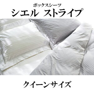 {xbh CIEL STRIPE VG XgCv {bNXV[c NC[TCY 50872 50873 CQ