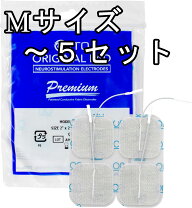 楽天市場】ems パッド フロイデの通販
