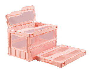 TJG SAKAE / TJGIWiFt܂肽݃Rei[@CL|50TMPK5ZbgyΏۊOzyzԎwszyTJG̑^i͎ԏnł^lzsz