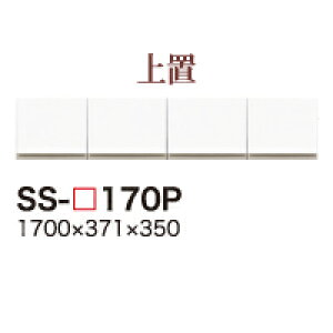 y֓zyJݒuz쐻쏊 / jbgHI BASIS xCVX CAMBIA I JrA / u J / SS-W170Pysz
