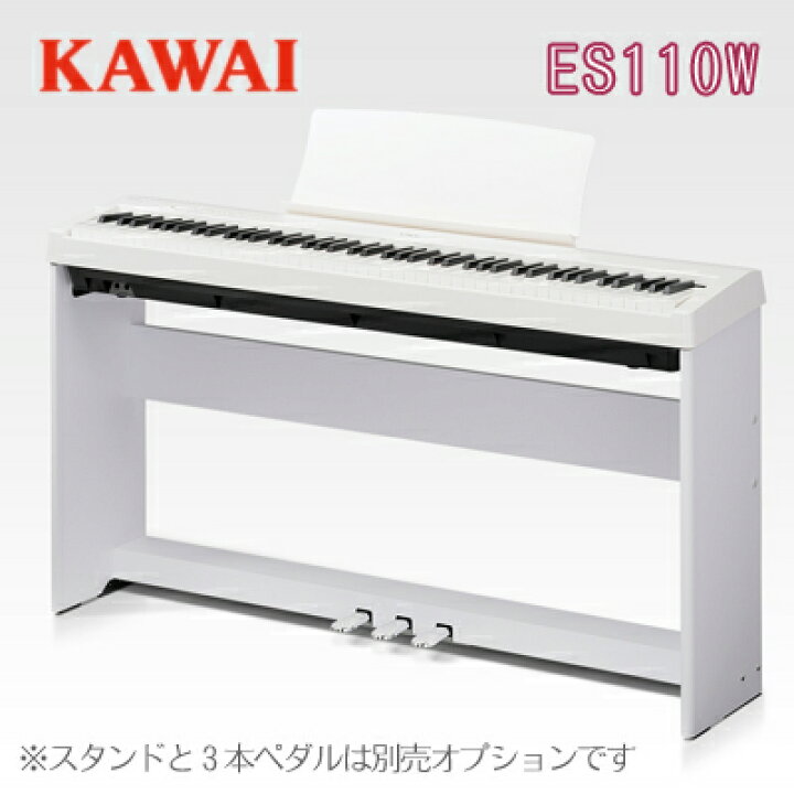 楽天市場】【次回入荷未定】【数量限定！先着で素敵なプレゼントおつけ 