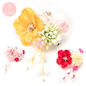  wAANZT[ Nbv^Cv Watmosphere gXtBA 20W14  sN   p[ Ԃт l Ǝ OB U   [̏ꍇTCYS܂]