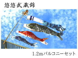 ̂ڂ II |[tZbg 1.2moRj[Zbg |GXeTe H 2020N̂ڂ EU0012FSyE(ʓr)zy{BȊO͑TCYAZz