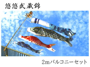 ̂ڂ II |[tZbg 2moRj[Zbg |GXeTe H 2020N̂ڂ EU0020FSyE(ʓr)zy{BȊO͑TCYAZz