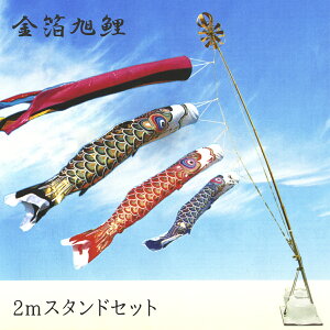 ̂ڂ  |[tZbg 2mǂłX^htZbg 2020N̂ڂ GA0020DS