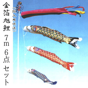 ̂ڂ  7m6_Zbg pt Te^ 2020N̂ڂ GA0076MS